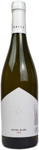 Seyval Blanc Winnica Turnau